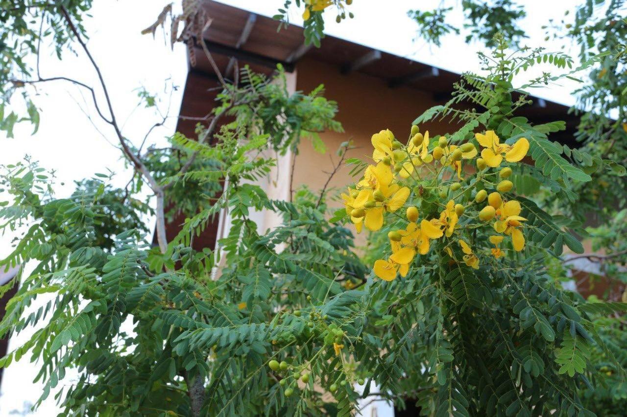 Lolu Village Resort أنرادابورام المظهر الخارجي الصورة